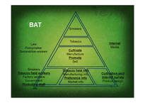 [정보시스템] BAT와 PMI의 비하인드 스토리(영문)-11