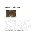 [매스게임,체육,체조] 매스게임에 대하여(우리나라와 북한의 비교)-6