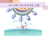 에이즈와 HIV 레포트-6