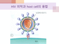 에이즈와 HIV 레포트-7