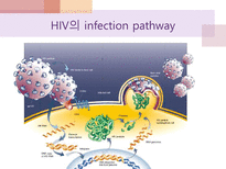 에이즈와 HIV 레포트-10