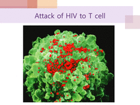 에이즈와 HIV 레포트-14