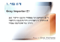 [A+자료] Gray Importer 전략방안 조사분석-4