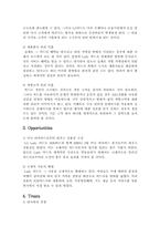 [신용카드마케팅]LG 레이디카드 마케팅분석-13