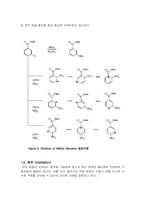 Nitration of Methyl benzoate 결과레포트-9