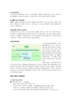 한글 도메인의 종류와 체계 및 발달과정-4