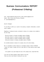 Business Communications REPORT [Professional E-mailing]-1