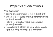 Arteriviridae 레포트-10