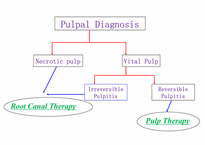 [의학]Diagnosis of pulpal and periapical pathosis-6