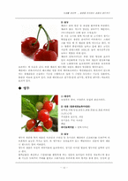 [식생활관리학] 컬러푸드 -RED FOOD(레드 푸드)-13