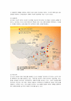 [마케팅] CJ제일제당의 중국 마케팅과 성공요인-13
