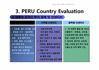 [글로벌경영] 페루의 리스크 분석-12