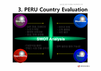 [글로벌경영] 페루의 리스크 분석-19