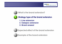 브랜드확장(brand extention)-5