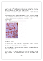 [대중문화] 팬덤 문화 -2PM팬덤을 중심으로-18