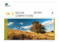 [마케팅] 코오롱 스포츠(KOLON SPORTS) IMC 전략-9