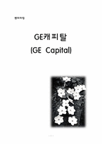 [금융론] GE캐피탈-1