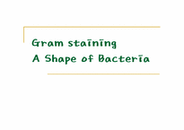 [생물학실험] Gram staining A Shape of Bacteria-1