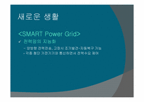 [경영정보시스템] 제주 스마트그리드 실증단지(SMART-GRID)-13