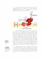 [생물학] Mitochondrial Metabolisms(미토콘드리아의 대사)-10