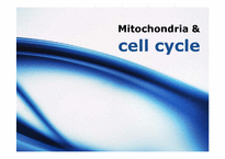 [생물학] Mitochondria & cell cycle(세포주기 조절)-1