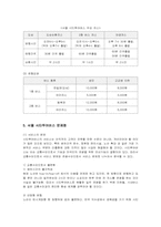 [관광경영] 서울 시티투어버스의 현황 및 문제점과 방안-11
