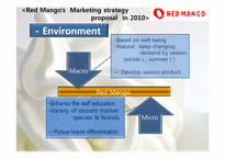 [마케팅] REDMANGO(레드망고)의 마케팅 전략(영문)-20
