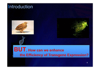 [유전학] Enhancing the Efficiency of Transgene Expression(영문)-4