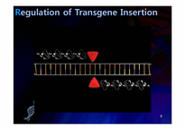 [유전학] Enhancing the Efficiency of Transgene Expression(영문)-8