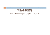 [MIS, 경영정보시스템] TAM(Technology Acceptance Model, 기술수용모형)-1