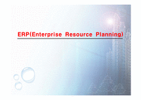 ERP(Enterprise Resource Planning)-1
