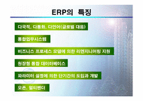 ERP(Enterprise Resource Planning)-6