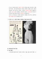 [광고발달사] 여성 속옷 광고의 변천사-9