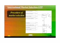 [국제경영론] Foreign Market Selection(영문)-8