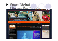 [디지털도서관론] 대중을 위한 스포츠 디지털 도서관-8