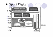 [디지털도서관론] 대중을 위한 스포츠 디지털 도서관-9