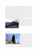 [답사 보고서] 인왕산을 중심으로 살펴본 서울의 민간신앙-9