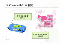 [식품향미학] Chamomile flavor-9