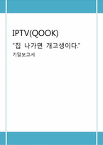 [마케팅관리] IPTV(KT의 QOOK을 중심으로)분석-1