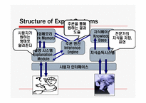 Expert System(전문가시스템)의 적용 사례와 미래-8