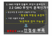 [공학과 윤리] 유전자 조작식품 GMO 안전성 논란에 대하여-11