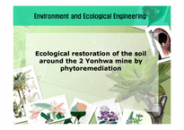[생태공학]Phytoremediation을 이용한 제2연화광산 주변 오염지역 토양의 생물학적 복원 설계(영문)-1
