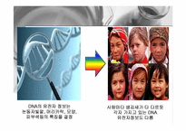 [mis] DNA Database 레포트-4