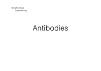 [생화학공학] 항체 특징 및 구조-1