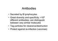[생화학공학] 항체 특징 및 구조-2