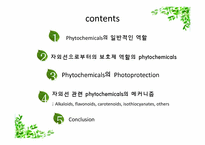 자외선으로부터의 보호제 역할로서의 식물내재 화합물(Phytochemicals) - 다양한 영향과 메커니즘-2