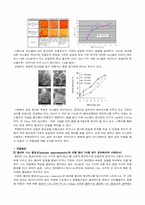 [재료공학]투명바인더의 저온균열에 우수한 저항성을 지닌 개선된 고분자 개질제의 방안-9