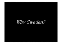 [영어교육]스웨덴의 영어 교육 사례-2