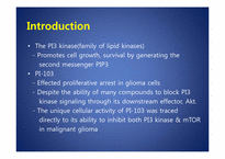 [약품분자생물학] PI-103 which inhibits both PI3 kinase & mTOR in malignant glioma-2