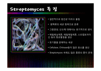 [미생물] Streptomyces-3